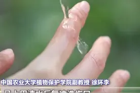 被马蜂蜇了别慌，记住这样做→#科普 #三农小知识 #乡聚向未来 @抖音青少年     