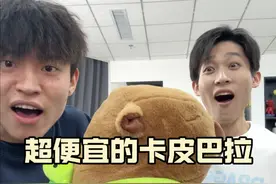 超便宜的卡皮巴拉 #卡皮巴拉 #卡皮巴拉是一种生活态度 #卡皮巴拉玩偶视频封面