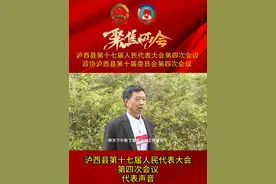 #泸西 县第十七届人民代表大会第四次会议代表声音（一）#两会视频封面