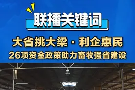 省政府新闻办今天在淄博市畜牧养殖企业园区举办“惠企利民政策在身边”主题系列现场新闻发布会，解读山东加大金融惠农助企力度，助力畜牧强省建设情况。#26项资金政策助力畜牧强省建设视频封面