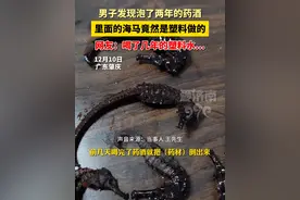 泡2年药酒的海马是塑料！当事人：幸亏喝完身体没什么不适 #药酒 #消费者 #万万没想到 #开眼界了 #热门推荐视频封面