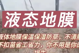 液态地膜完全取代传统地膜，保温保湿还防草，不清膜不扣苗还省工视频封面