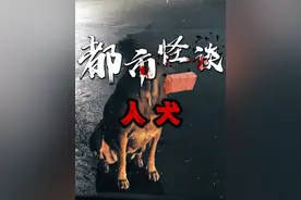 狗越来越像人了，那就要注意了！ #都市传说 #恐怖 #怪谈视频封面