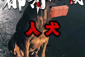 狗越来越像人了，那就要注意了！ #都市传说 #恐怖 #怪谈视频封面