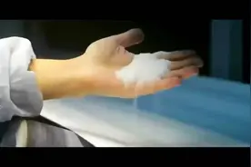 #抗糖 减脂真的可以减肥么？#知识分享 #泛生活 #科普视频封面