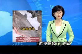 #网红女主播吃濒临大白鲨 律师：最高或面临10年以上刑期视频封面