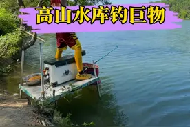高山水库钓巨物，荒野垂钓第39天，放了100米出手绳才把这条大青鱼钓上来！#户外 #野钓 #荒野垂钓 #2024dou来钓鱼 #速散维它米视频封面