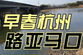 早春杭州溪流路亚钓马口，轻松连杆，还能路上溪流特有的白条视频封面