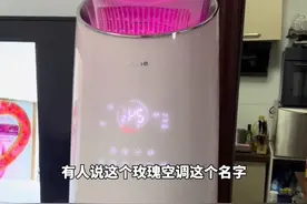 格力“玫瑰空调好土”？董明珠回应网友吐槽视频封面