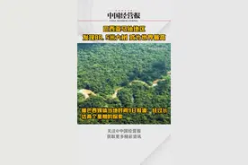 世界最高的树找到了？巴西亚马孙地区发现88.5米大树#亚马逊雨林最高大树#自然奇观#热门 视频封面