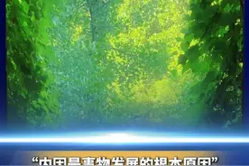 #世界只是我打磨自己的工具  余华：任何影响只会让一个人，变得越来越像他自己。#余华  #内因  #品读人生  #半月谈