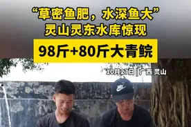 98斤+80斤，广西灵山村民捕获两条野生大青鲩 #广西dou知道视频封面