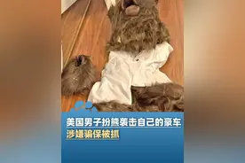 美国男子扮野熊袭击自己的豪车，涉嫌骗保被抓：索赔总金额达141839美元视频封面