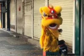 8岁舞狮女孩曾在路边独自练习，路过正在等红灯的舞狮队为她敲锣助威。1月28日，她登上央视春晚，完成了从路边到春晚“C位”的转变。好样的，“小狮子”！#一只小狮子的成长 #春晚视频封面