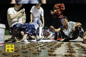山东这个地方，一晚上要卖掉30万只金蝉#在知爱建#你好滨州#金蝉养殖#山东    #源头好货 #农业 #阳信县 视频封面