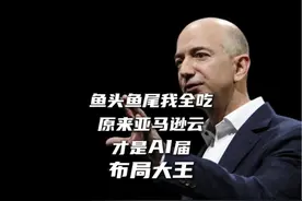“不装了，摊牌了，芯片，模型，应用我全做~”视频封面