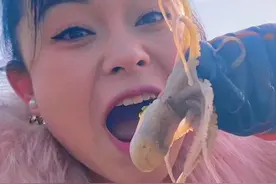 退过潮的沙滩上密密麻麻全是八爪鱼呀！还有成群面包蟹！小章棒！视频封面