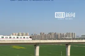 外交部发言人点赞武汉地铁16号线，市民乘坐开往春天的列车，俯瞰成片油菜花海视频封面