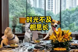 当我参加毕业十周年聚会……#猫meme #同学聚会 #初恋视频封面