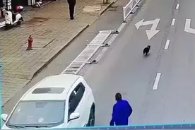 监控下的一幕 一辆SUV撞倒数节护栏 车主：我说是狗开的你信吗视频封面