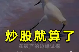 炒股就算了，千万别借钱炒 #股票 #知识 #科普 #商业思维 #财经视频封面