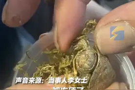 1月2日，吉林吉林。东北买家网购2只乌龟变冻干龟，商家说泡水里24小时能恢复。网友：这叫冰龟！视频封面