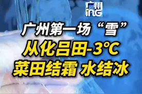 2025年广州的第一场“雪”视频封面