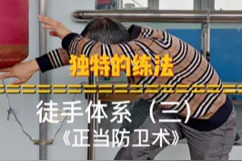 独特的练习方法～～#功夫 #游戏解说 #陈鹤皋 #无限制格斗陈鹤皋  视频封面