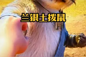 哪吒二土拨鼠兰银官话 大家快去看哪吒二里面有宁夏话！！#哪吒二 #搞笑配音 #宁夏方言视频封面
