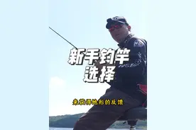 新手如何选择适合自己鱼种的路亚钓竿，没那么复杂，其实很简单就可以区分出来 #路亚视频封面