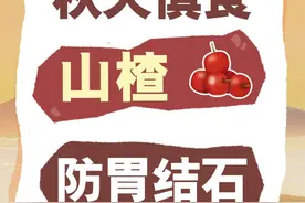 秋天慎食山楂、柿子，当心胃结石！ #胃结石 #山楂 #秋天 #健康科普 #硬核健康科普行动视频封面