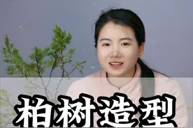 做盆景亦是做人，只有经过千锤百炼，浴火焚身后才能脱胎换骨！#盆景 #柏树 #盆景制作视频封面