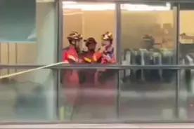 消防小哥哥高空救援猫咪  猫咪脱手那刻吓了一跳，网友：捉的过程好像在那里炒了盘菜视频封面