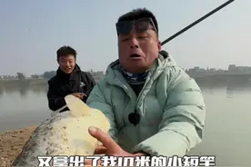 在冬天，我居然用上了封存已久的10米小短杆 @徐亮钓鱼🎣 亮哥，你的窝子发窝了！ #2024dou来钓鱼#最适合冬天的冰钓来了 #内容启发搜索 #年度运动玩咖爆款清单 @刘志强钓鱼#刘志强能量饵视频封面