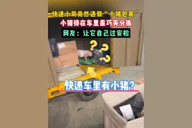 近日，河南。一快递小哥遇到“小猪包裹”，小猪待在车里乖乖等分拣...#社会百态视频封面