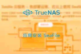 TrueNAS SCALE 应用安装seafile并开启HTTPS
图文：https://www视频封面