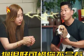 比格犬在家称霸，训犬师却夸它是条好狗，反斥主人不会养别养
