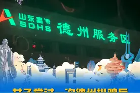 女子尝过一次德州扒鸡后，半夜从河北赶来专卖店包圆了，“特别好吃，太馋了，实在受不了”#德州扒鸡 #山东特产 #下酒菜 #妈呀太香了 #在山东花式过冬视频封面
