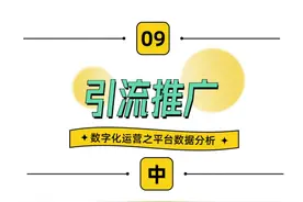 阿里巴巴国际站数字化运营之平台数据分析（中） #外贸视频封面