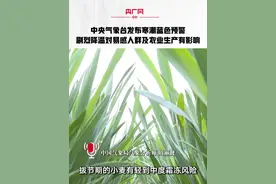 中央气象台发布寒潮蓝色预警 剧烈降温对易感人群及农业生产有影响视频封面