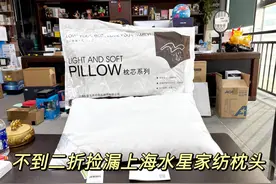 捡漏一千多套上海水星家纺枕头，硅藻土黑科技，去除甲醛细菌螨虫视频封面