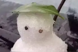 9年前的今天，广州下雪了，当年陪你看雪的人还在身边吗？注意了，生猛阿冷25日夜间杀到广东。#广州dou知道视频封面
