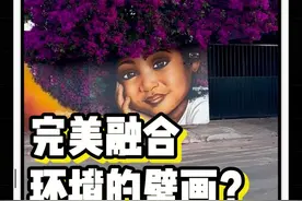 完美融入环境的街头艺术画。 #街头艺术 #创意美术 #艺术在抖音  #海外奇遇见闻录 #涂鸦视频封面