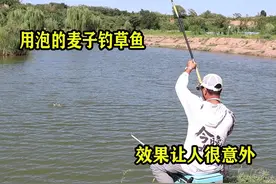 从大师那学的秘制窝料钓草鱼，这个效果你绝对想不到！ #钓鱼视频封面