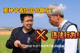 种子安全你了解吗？这可关乎我们的“饭碗”哦！视频封面