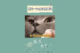 为了防止玩手机变傻，被指到的人，进来默写