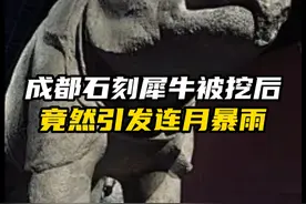 成都石刻犀牛被挖后，竟然引发连月暴雨视频封面