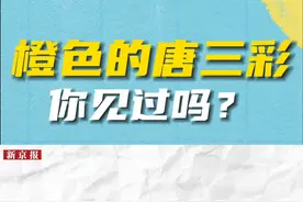 原来唐三彩最开始是橙色的呀……#南石山村  #唐三彩视频封面