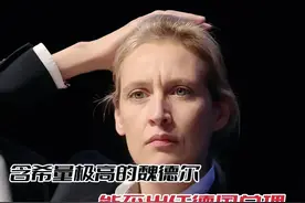 德国政坛黑马：含希量极高的魏德尔，能否逆袭本届德国总理？视频封面