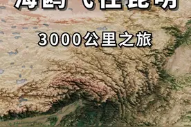 海鸥先头部队已抵昆明，从贝加尔湖到滇池，飞行3000多公里 #昆明海鸥回来了 #海鸥 #昆明 #地图上的惊喜视频封面